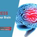 How Stress Affects Your Brain